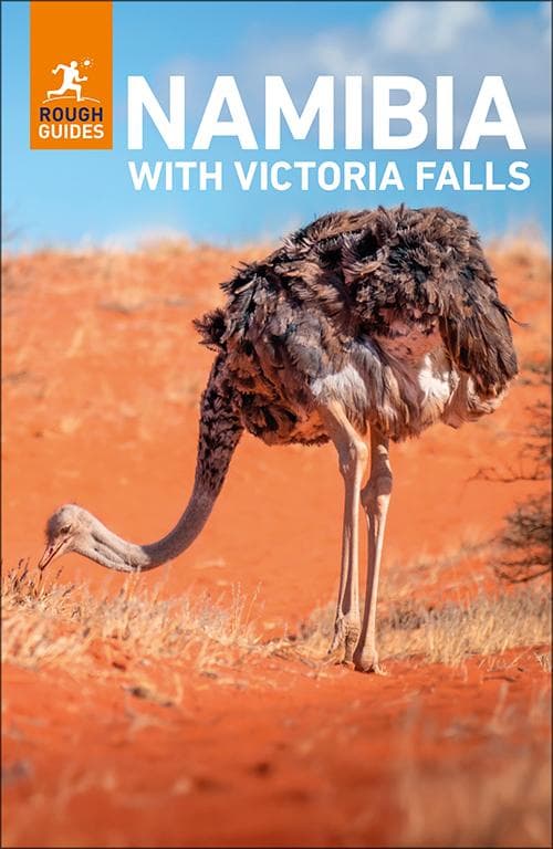Rough Guides Namibia with Victoria Falls: Travel Guide eBook