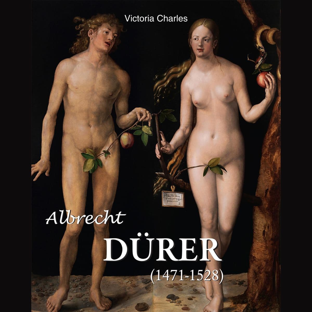 Albrecht Dürer 1471-1528