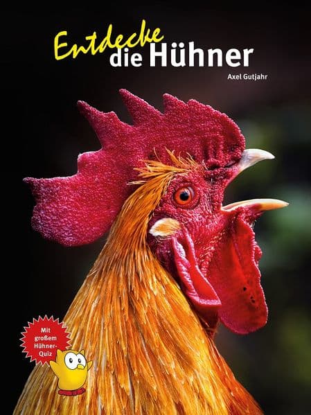 Entdecke die Hühner
