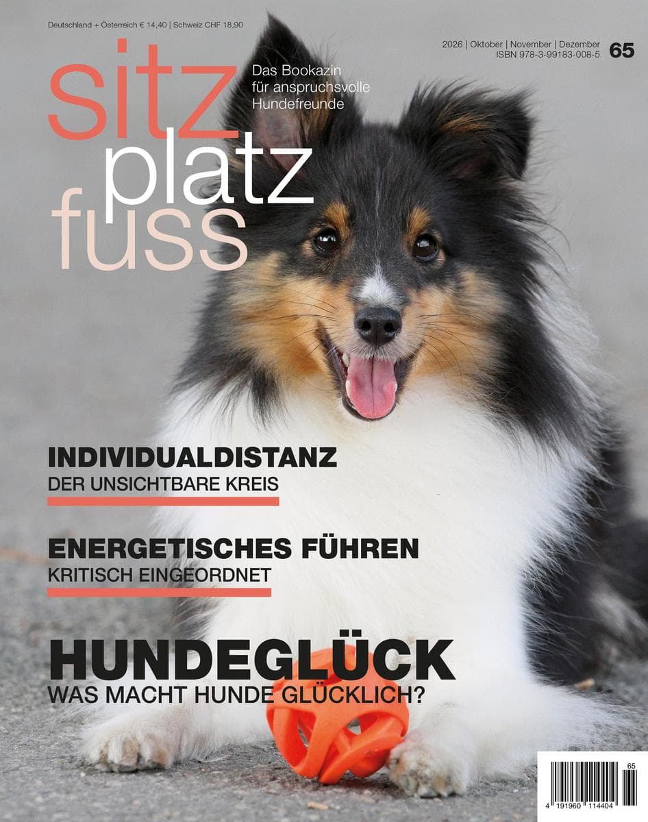 SitzPlatzFuss 65