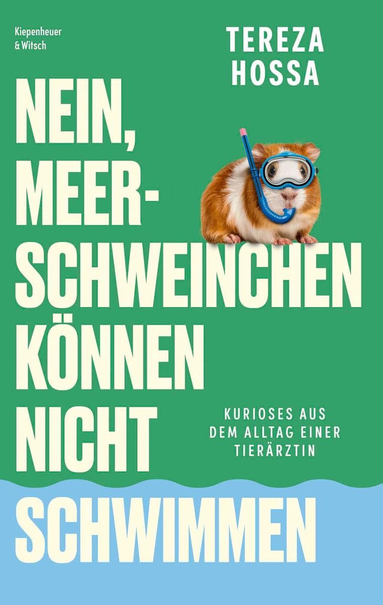 Nein, Meerschweinchen können nicht schwimmen