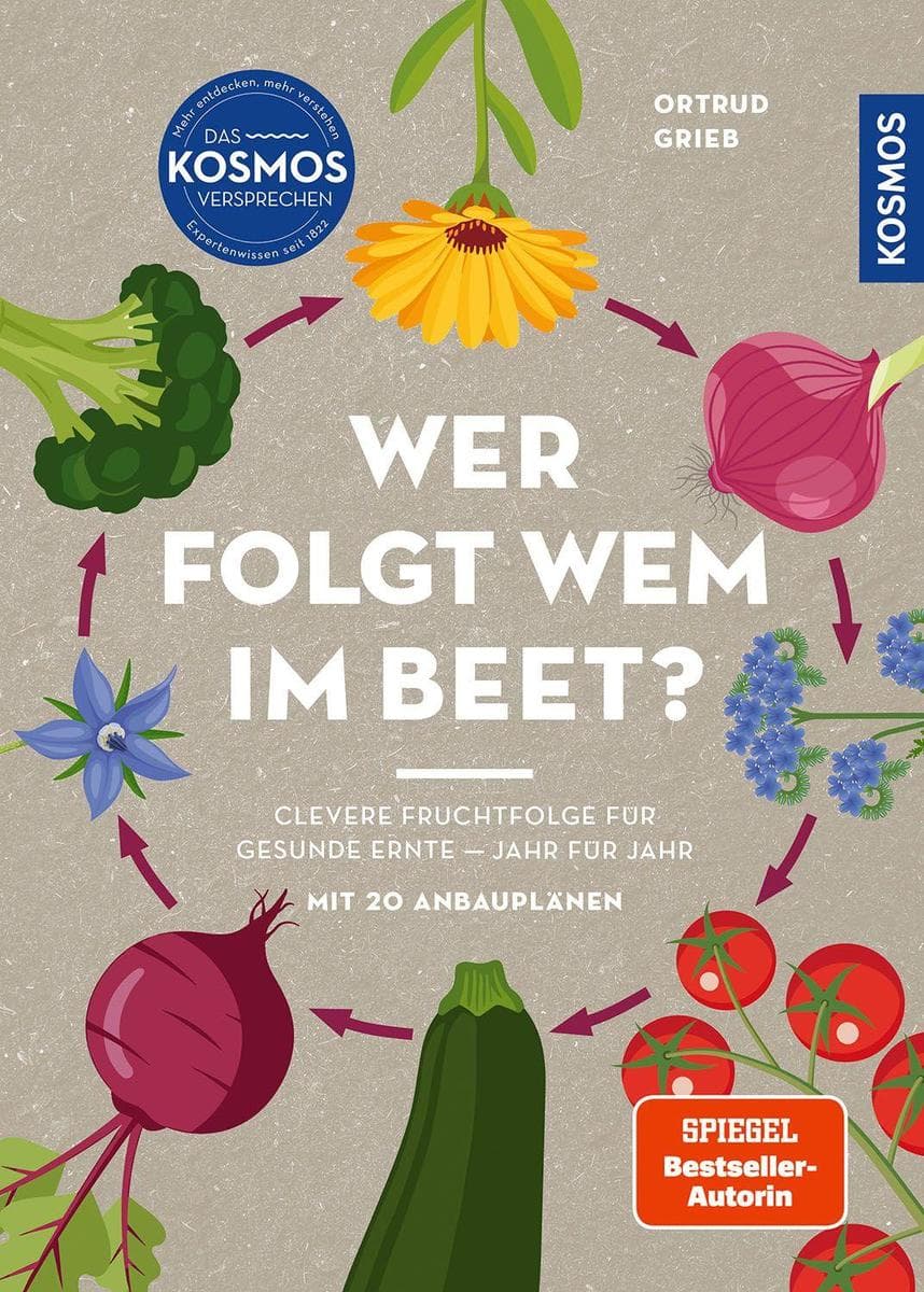 Wer folgt wem im Beet?