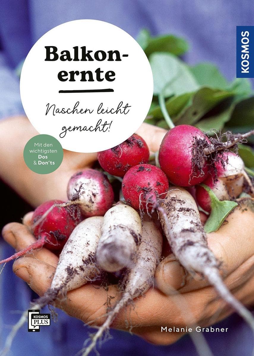 Balkonernte