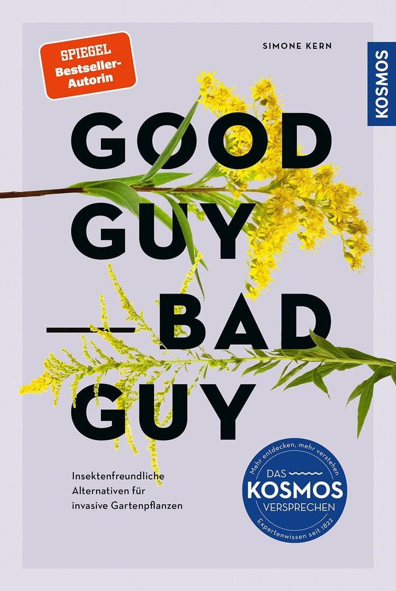 Good guy, bad guy