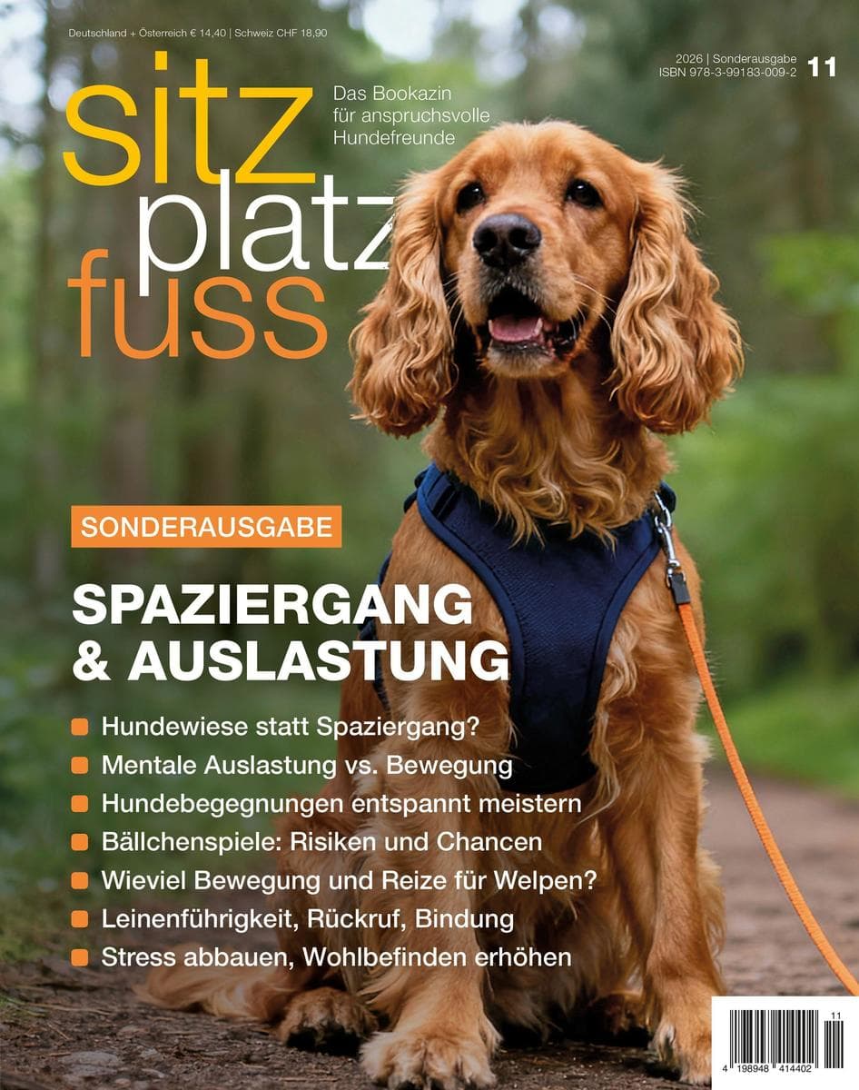 SitzPlatzFuss, Sonderausgabe 11 November 26