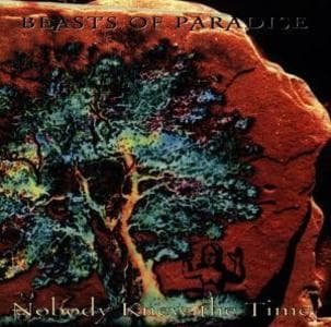 Nobody Knew The Time