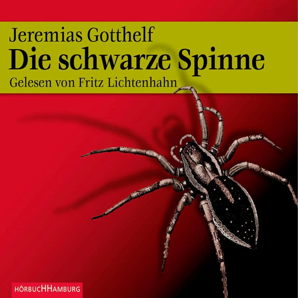 Die schwarze Spinne
