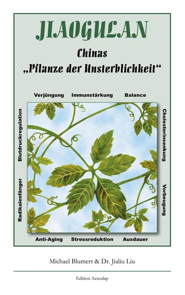 Jiaogulan, Chinas Pflanze der Unsterblichkeit
