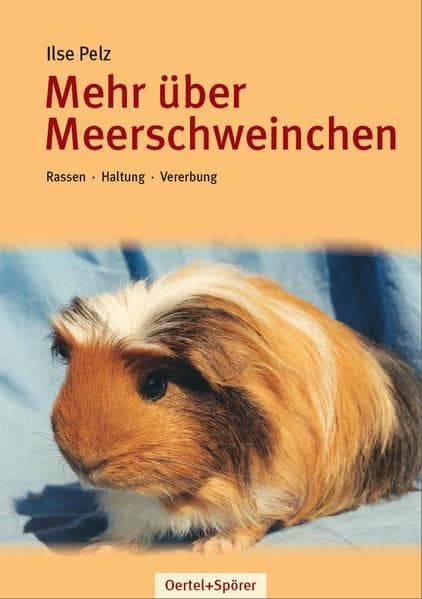 Mehr über Meerschweinchen