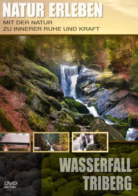 Natur erleben - Wasserfall Triberg