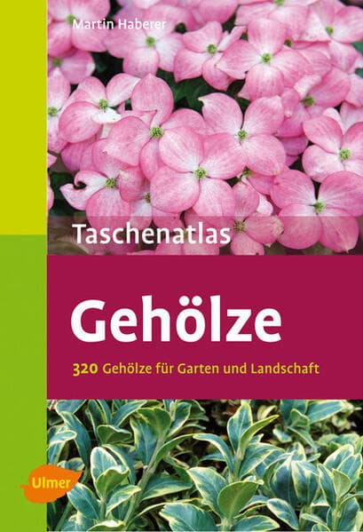Taschenatlas Gehölze