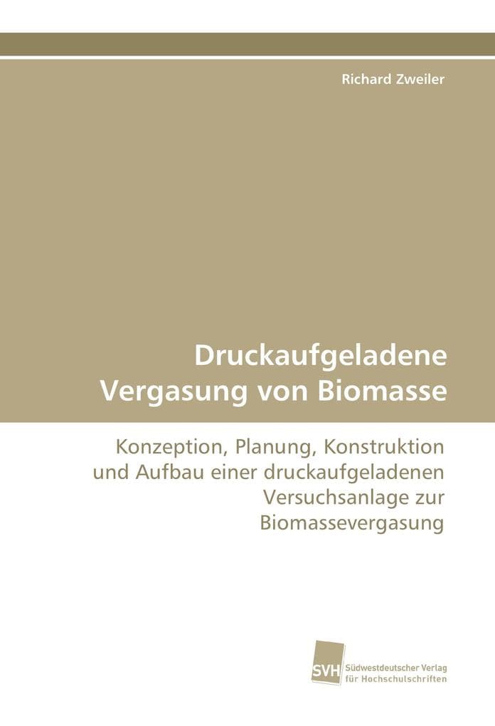 Druckaufgeladene Vergasung von Biomasse