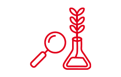 Forschen & Entdecken