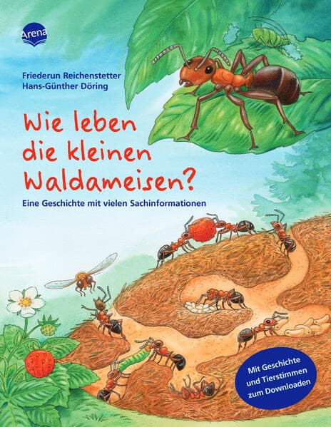 Wie leben die kleinen Waldameisen?.