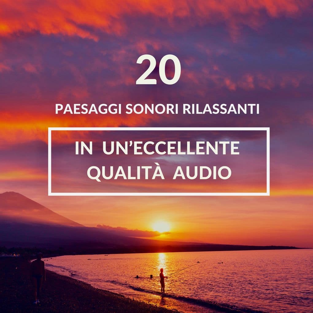 ambiente rilassante per il sonno, meditazione, sonno profondo: 20 paesaggi sonori rilassanti in un'eccellente qualità audio