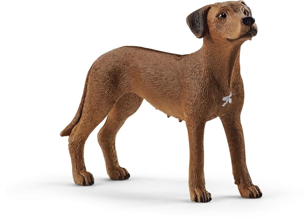Schleich - Farm World - Rhodesian Ridgeback