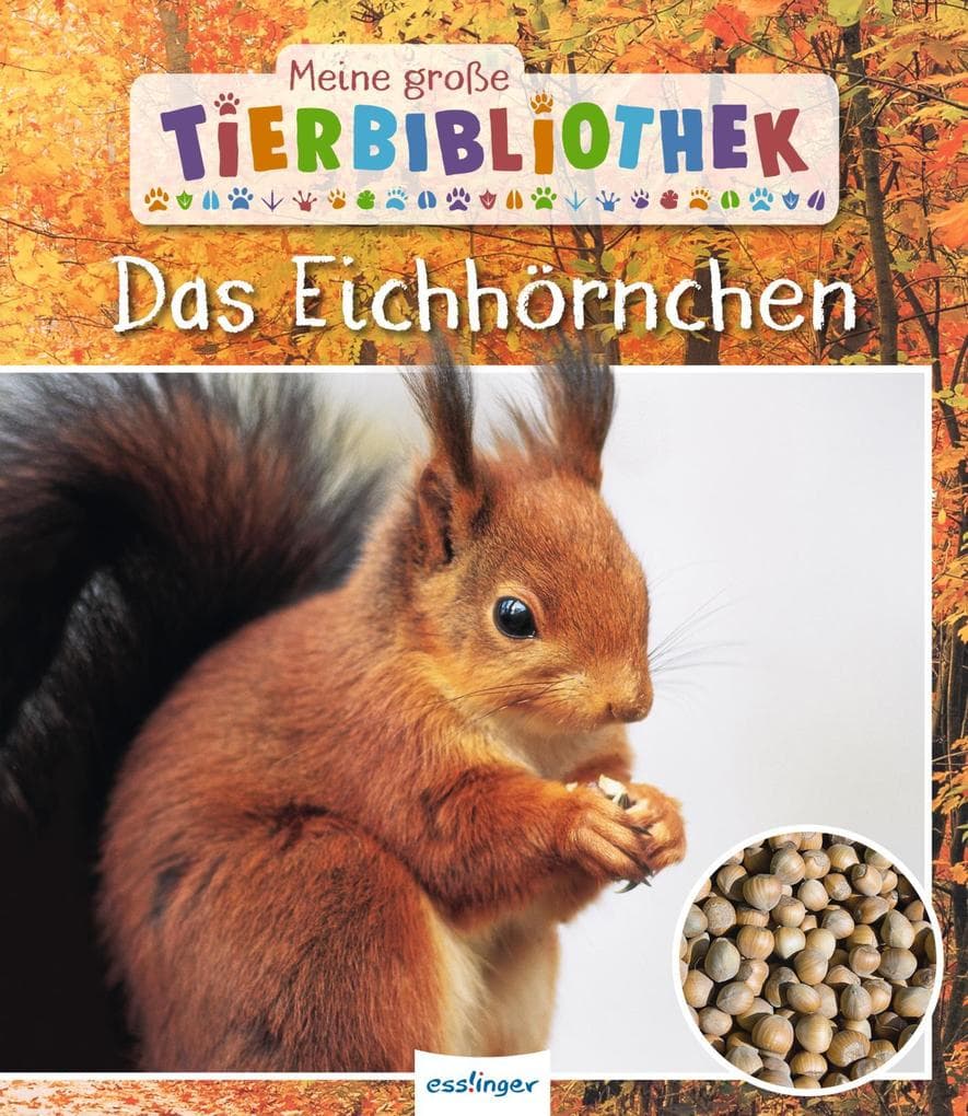 Meine große Tierbibliothek: Das Eichhörnchen
