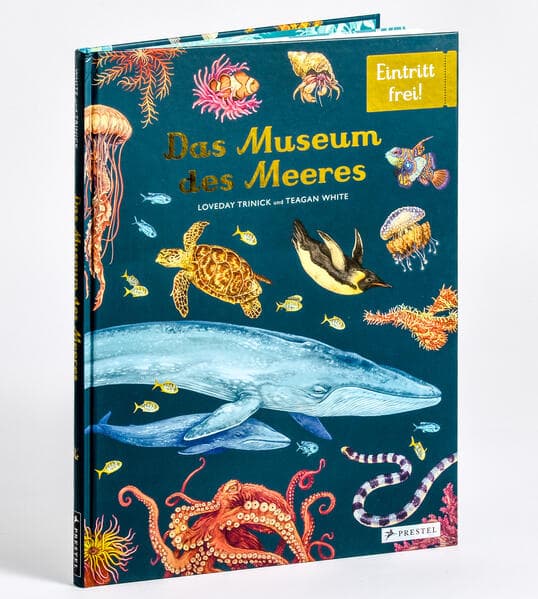 Das Museum des Meeres