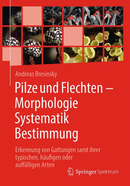 Pilze und Flechten - Morphologie, Systematik, Bestimmung