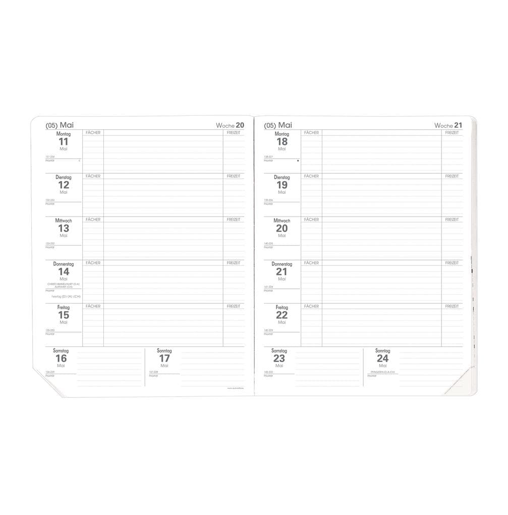 Magister Einlage bedr. Karton 2026 / 2027