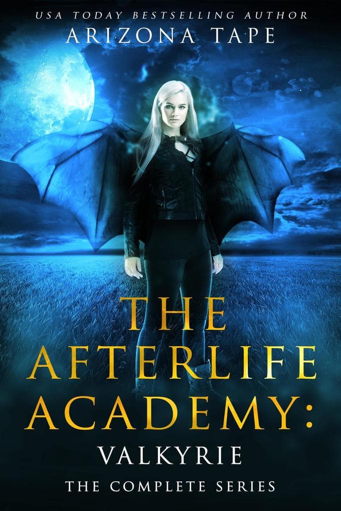 The Afterlife Academy: Valkyrie Complete Series (The Afterlife Chronicles)