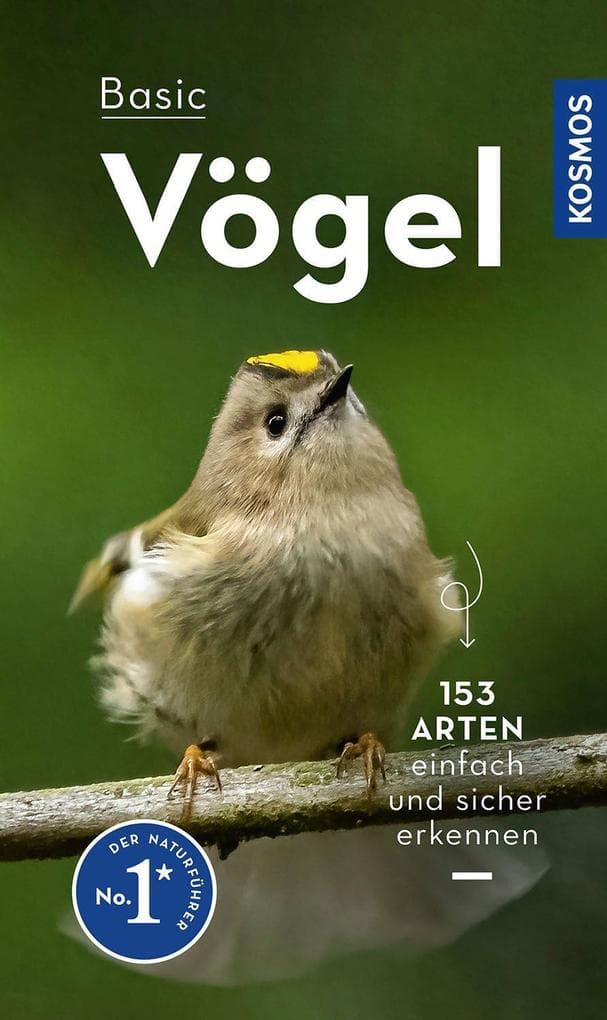 BASIC Vögel