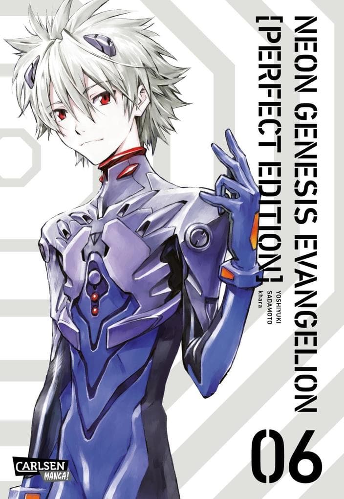 Neon Genesis Evangelion - Perfect Edition 6