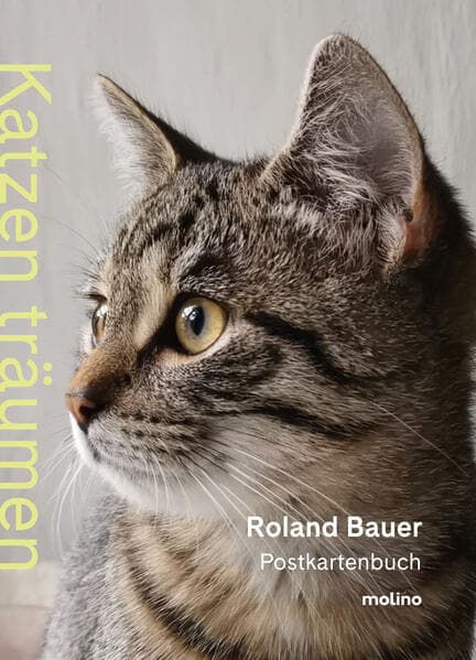 Katzen träumen