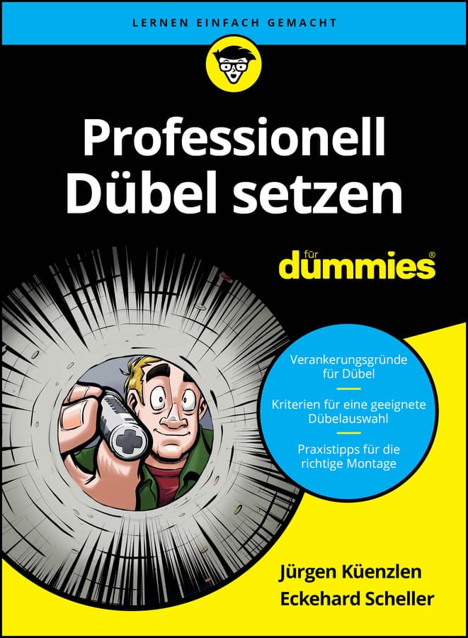 Professionell Dübel setzen für Dummies