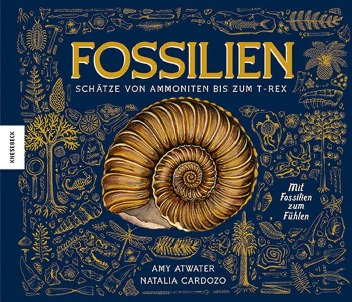 Fossilien - Schätze von Ammoniten bis zum T. Rex