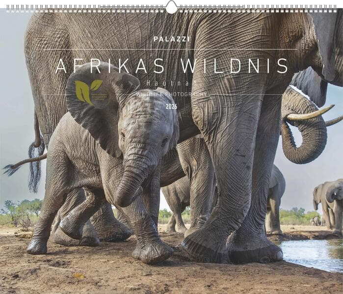 Palazzi - Hautnah - Afrikas Wildnis 2026 - Wandkalender 60×50 cm mit 12 Tierfotografien, Poster-Kalender mit Wildtieren & humorvollen Bildunterschriften