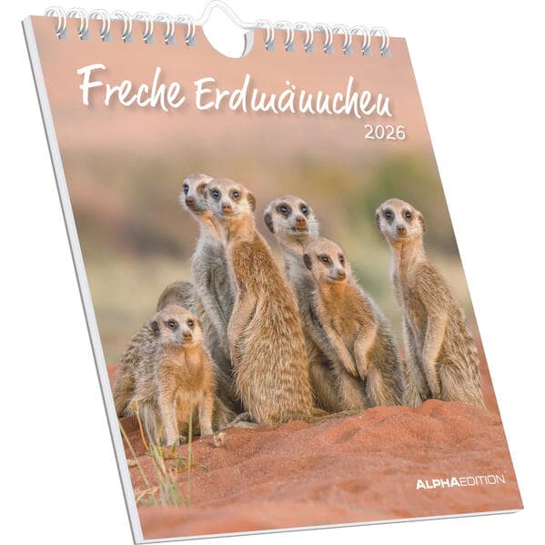 Alpha Edition - Freche Erdmännchen 2026 - Postkartenkalender 16×17 cm mit 53 witzigen Motiven, dekorativer Tisch- & Wandkalender auf FSC-Papier, zum Verschicken, Sammeln & Verschenken