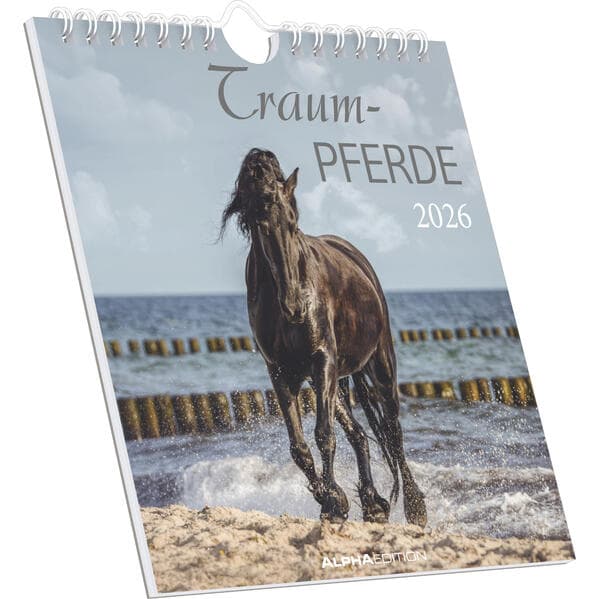 Alpha Edition - Traumpferde Kalender 2026 - Postkartenkalender 16×17 cm mit Pferdemotiven, zum Aufstellen oder Aufhängen, dekorativer Tischkalender & Geschenkidee für Pferdeliebhaber