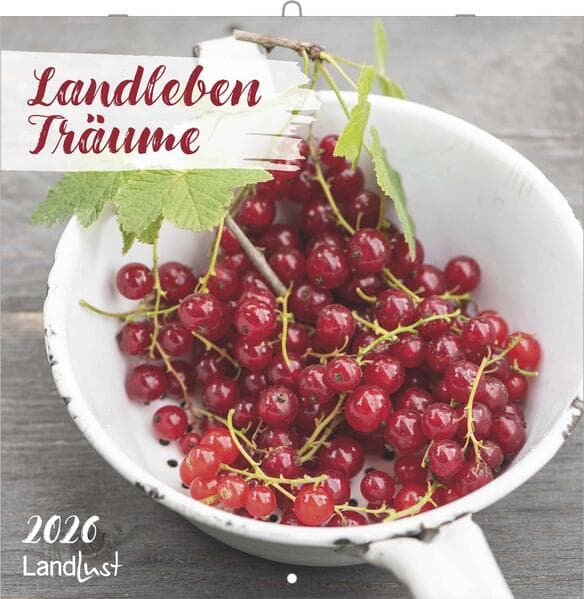 Landlust - Landleben Träume 2026 - Broschürenkalender 30×30 cm (aufgeklappt 30×60 cm), Wandkalender mit Rezepten & ländlichen Impressionen