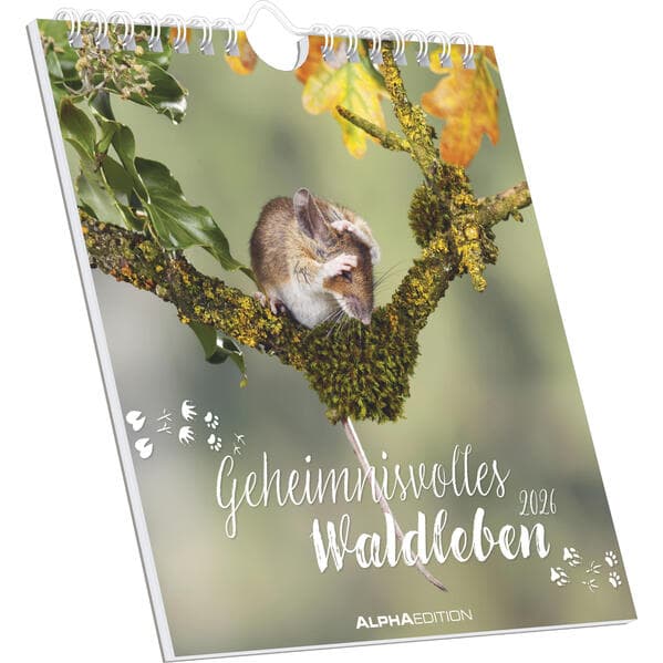 Alpha Edition - Geheimnisvolles Waldleben 2026 - Postkartenkalender 16×17 cm mit 53 Naturmotiven, FSC-zertifiziert, als Tisch- & Wandkalender nutzbar, perforierte Karten zum Verschicken & Sammeln