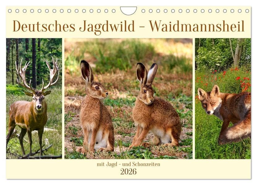 Deutsches Jagdwild - Waidmannsheil (Wandkalender 2026 DIN A4 quer), CALVENDO Monatskalender