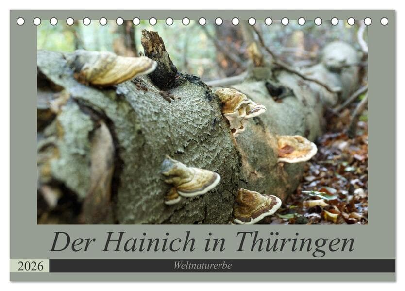 Der Hainich in Thüringen - Weltnaturerbe (Tischkalender 2026 DIN A5 quer), CALVENDO Monatskalender