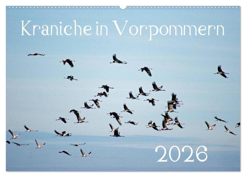Kraniche in Vorpommern (Wandkalender 2026 DIN A2 quer), CALVENDO Monatskalender