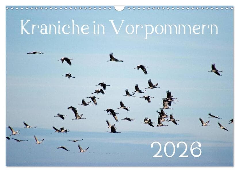 Kraniche in Vorpommern (Wandkalender 2026 DIN A3 quer), CALVENDO Monatskalender