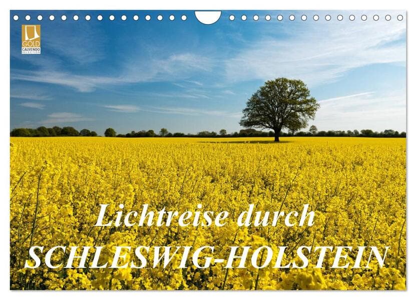Lichtreise durch Schleswig-Holstein (Wandkalender 2026 DIN A4 quer), CALVENDO Monatskalender