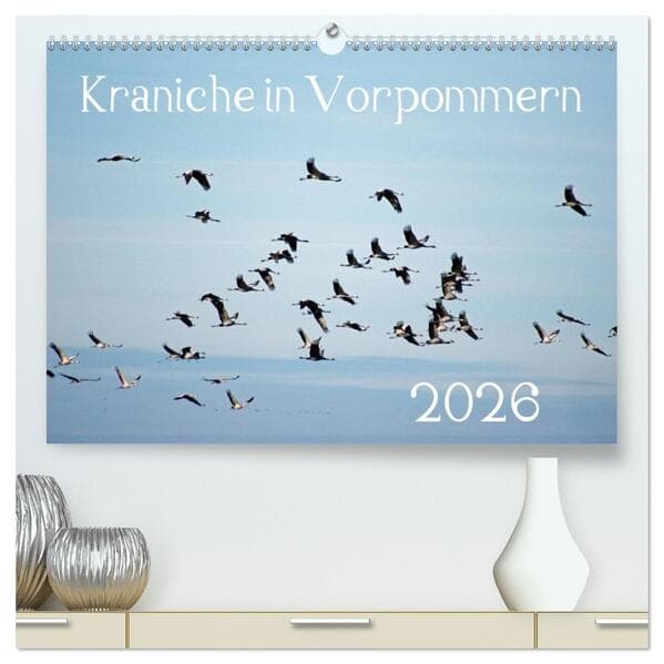 Kraniche in Vorpommern (hochwertiger Premium Wandkalender 2026 DIN A2 quer), Kunstdruck in Hochglanz
