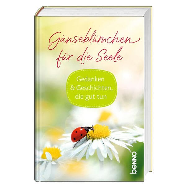 Gänseblümchen für die Seele