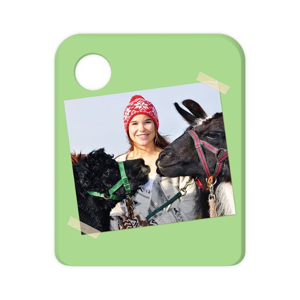 Anna und die wilden Lieder