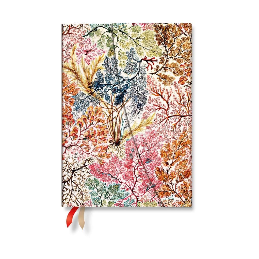 2027 Anemone MIDI Horizontal Hardcover 12-Month Weekly Planner, 160pg, 100gsm by Paperblanks (William Kilburn)