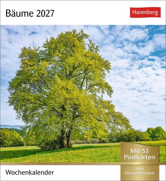 Bäume Postkartenkalender 2027 - Wochenkalender mit 53 Postkarten