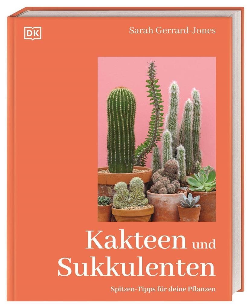 Kakteen und Sukkulenten