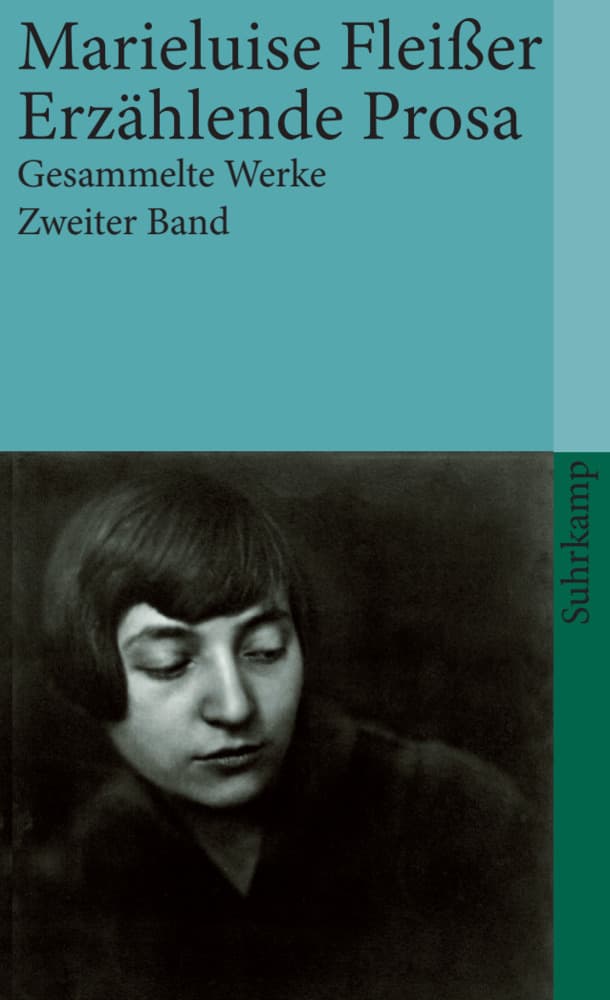 Gesammelte Werke 2. Roman. Erzählende Prosa. Aufsätze